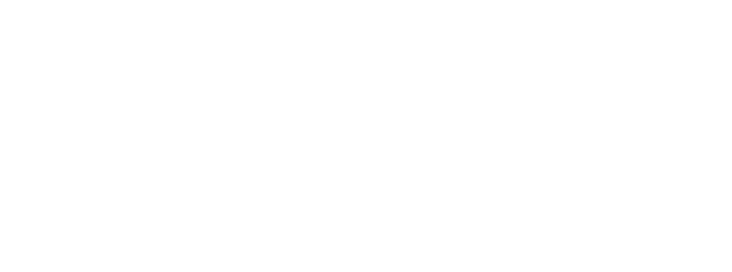 Logo naam wit